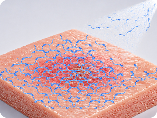 Activated Silk peptides self-assembling at the skin surface